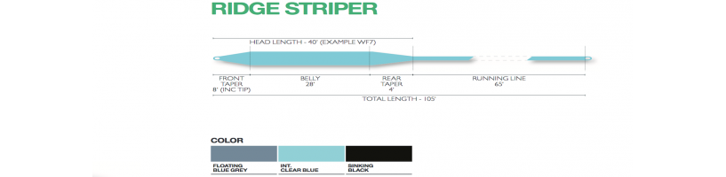RIDGE COLD SALTWATER